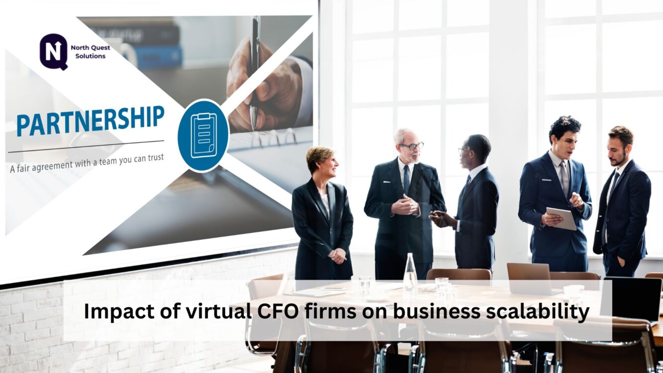 virtual cfo firms