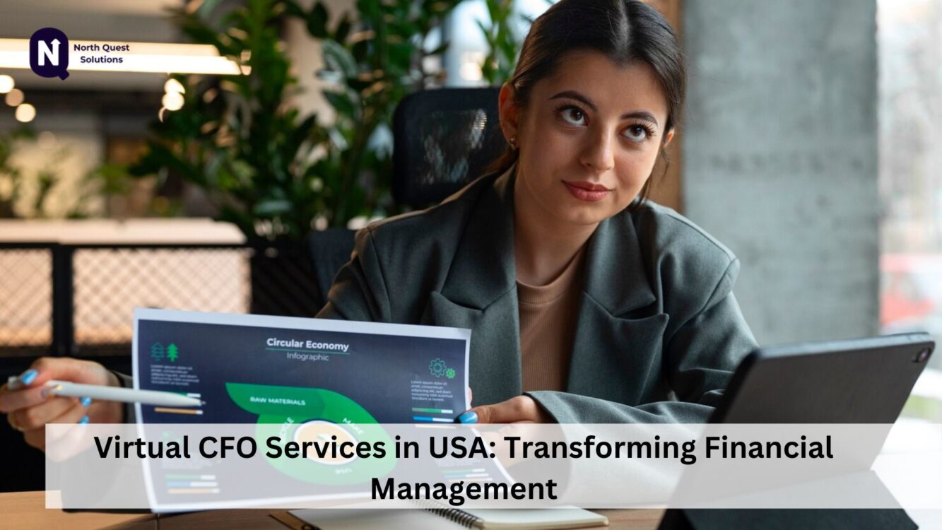 Virtual CFO services in USA