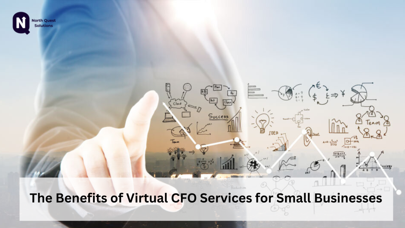 virtual cfo small business