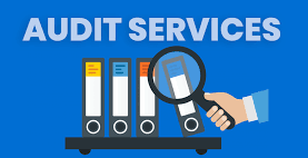 Best Audit Service in California